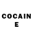COCAIN Fish Scale Valerija Volosciuk